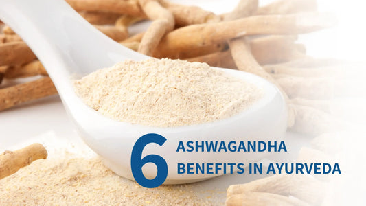 Top 6 Ashwagandha Benefits in Ayurveda