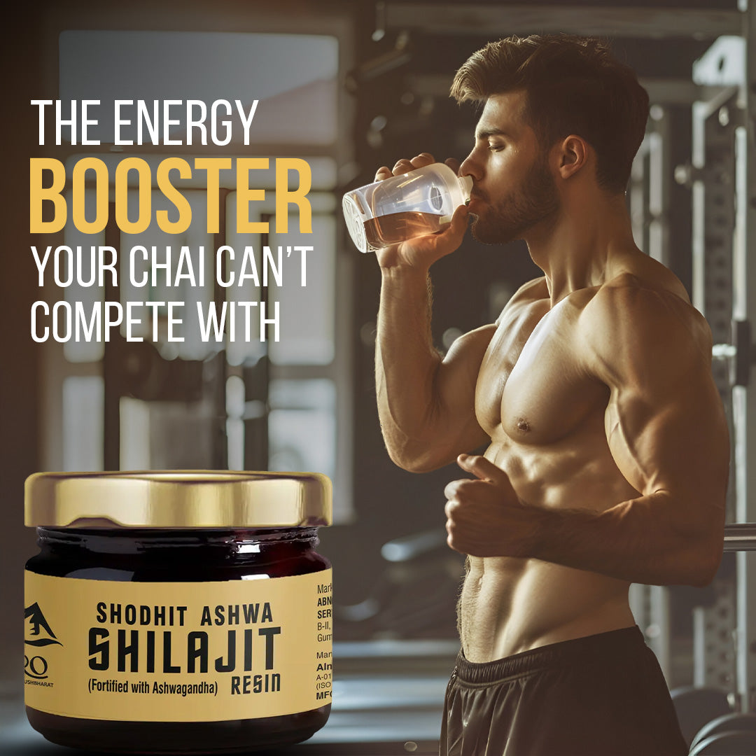 RePro Shodhit Ashwa Shilajit
